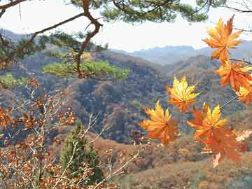 锦州公交旅游1号线多久-锦州旅游一号线