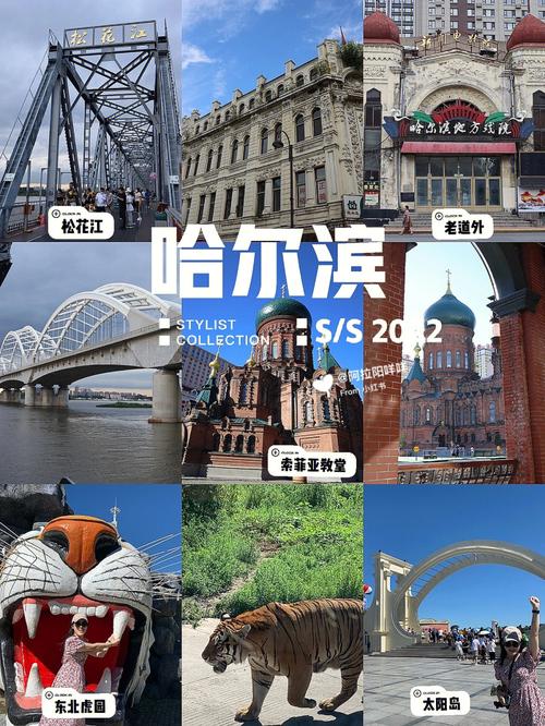 哈尔滨旅游网-哈尔滨旅游网官网