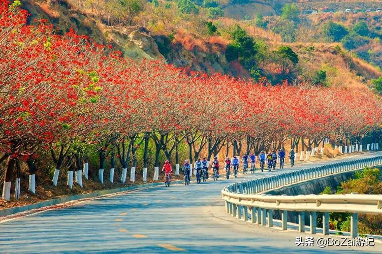 攀枝花旅游必去景点-攀枝花旅游必去景点十大打卡地