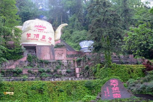 四川蒙顶山-四川蒙顶山在哪里