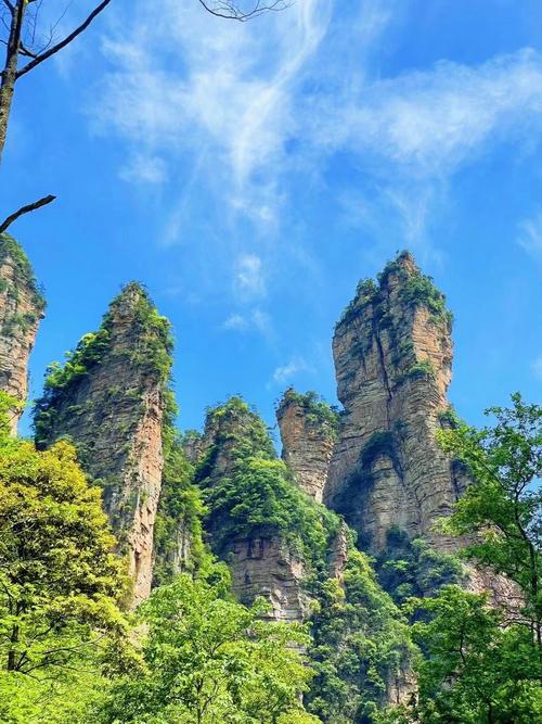 张家界有哪些景点-张家界有哪些景点必须去