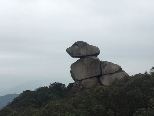 天狗望月图片-天狗望月图片景观石