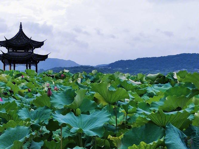 浙江杭州-浙江杭州旅游必去十大景点