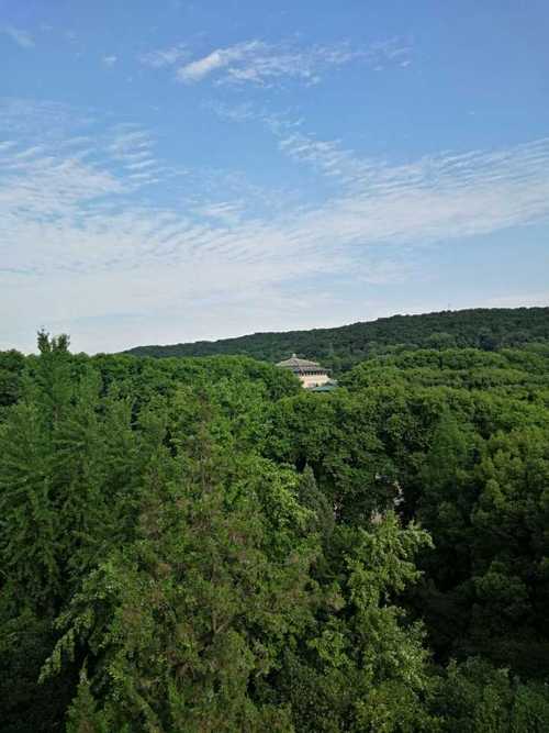 珞珈山-珞珈山职业技术学院