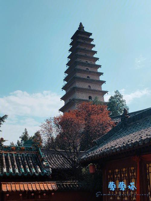 普救寺-普救寺简介