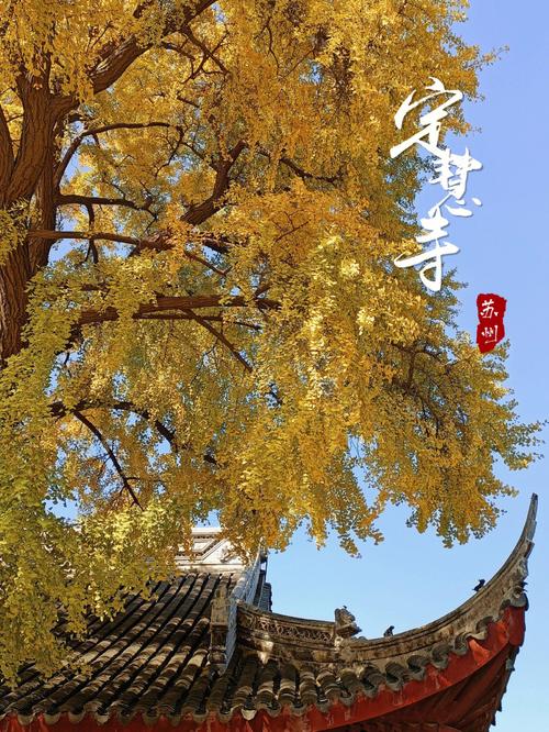 定慧寺-定慧寺简介