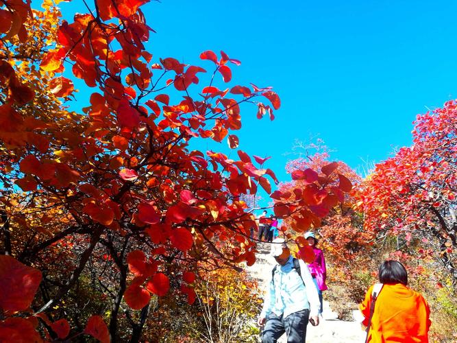 红叶岭-红叶岭风景区在哪里