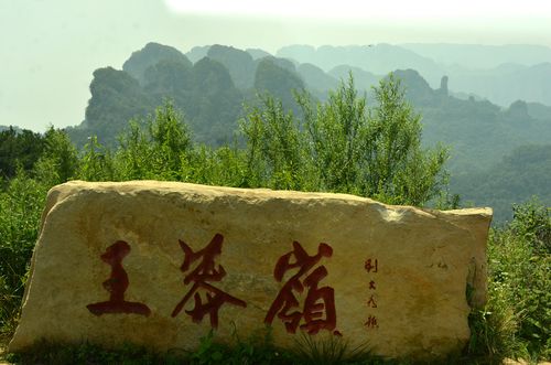 山西王莽岭-山西王莽岭景区简介