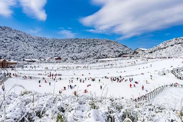 重庆金佛山滑雪场-重庆金佛山滑雪场门票价格