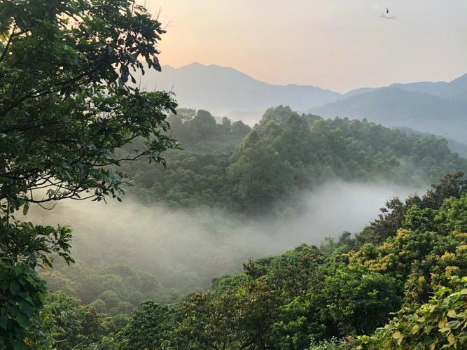 石门山-石门山国家森林公园