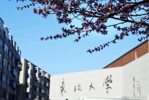 东北 大学-东北大学是985还是211