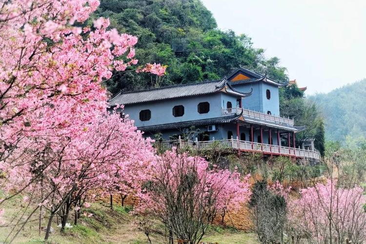 翁源东华山-翁源东华山风景区