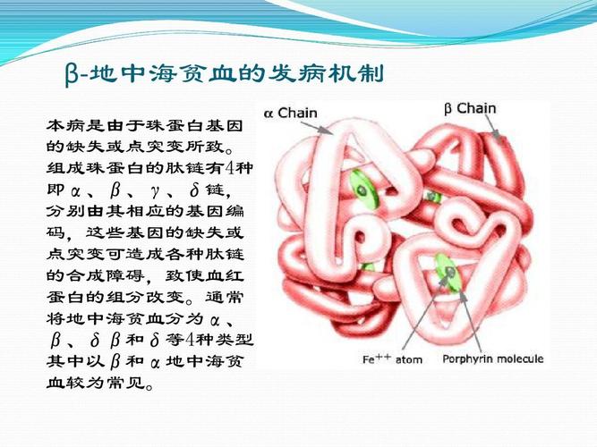 地中海-地中海贫血是什么病