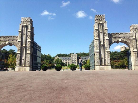 高丽大学-高丽大学相当于国内什么大学