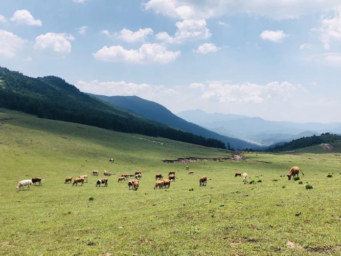 娄烦云顶山-娄烦云顶山旅游攻略