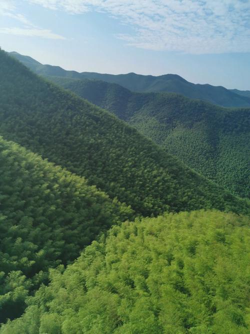 宜兴竹海-宜兴竹海风景区