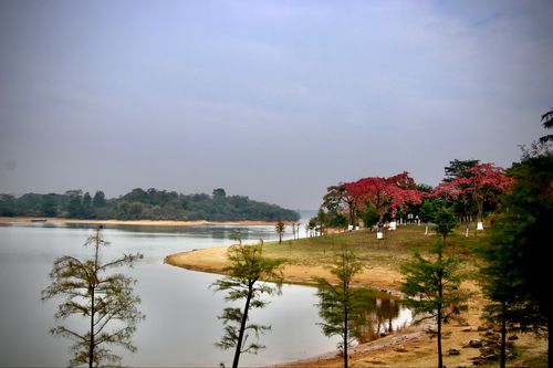 东莞松山湖景点-东莞松山湖景点有哪些好玩的