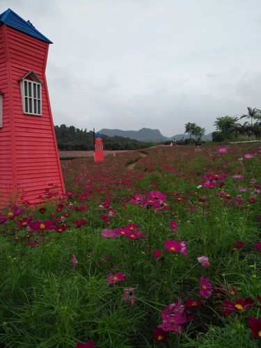 蜀南花海景区-蜀南花海导游讲解