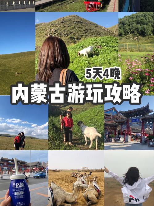 呼和浩特攻略-呼和浩特攻略旅游攻略