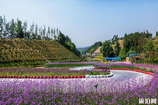 四季花海-四季花海景区在什么位置