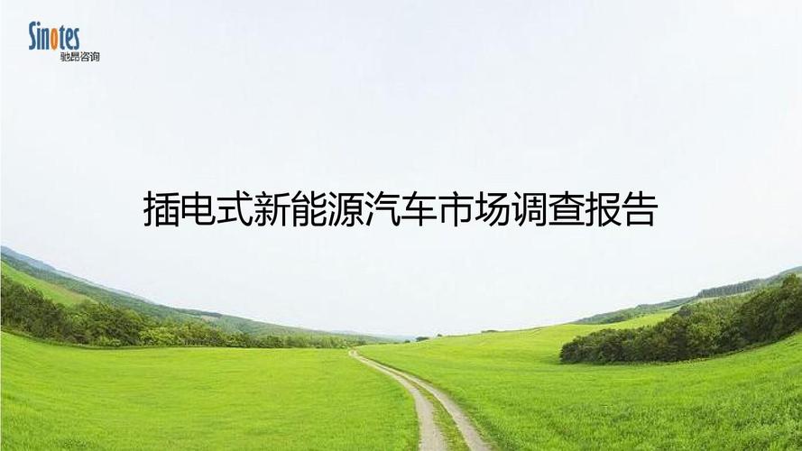 为什么调查新能源汽车（为什么都做新能源汽车）