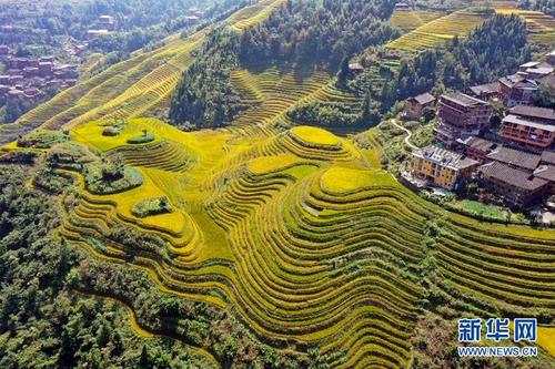 龙胜旅游经济发展多久了-龙胜旅游经济发展多久了啊