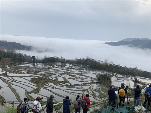 元阳旅游捕鱼时间多久-元阳游玩攻略