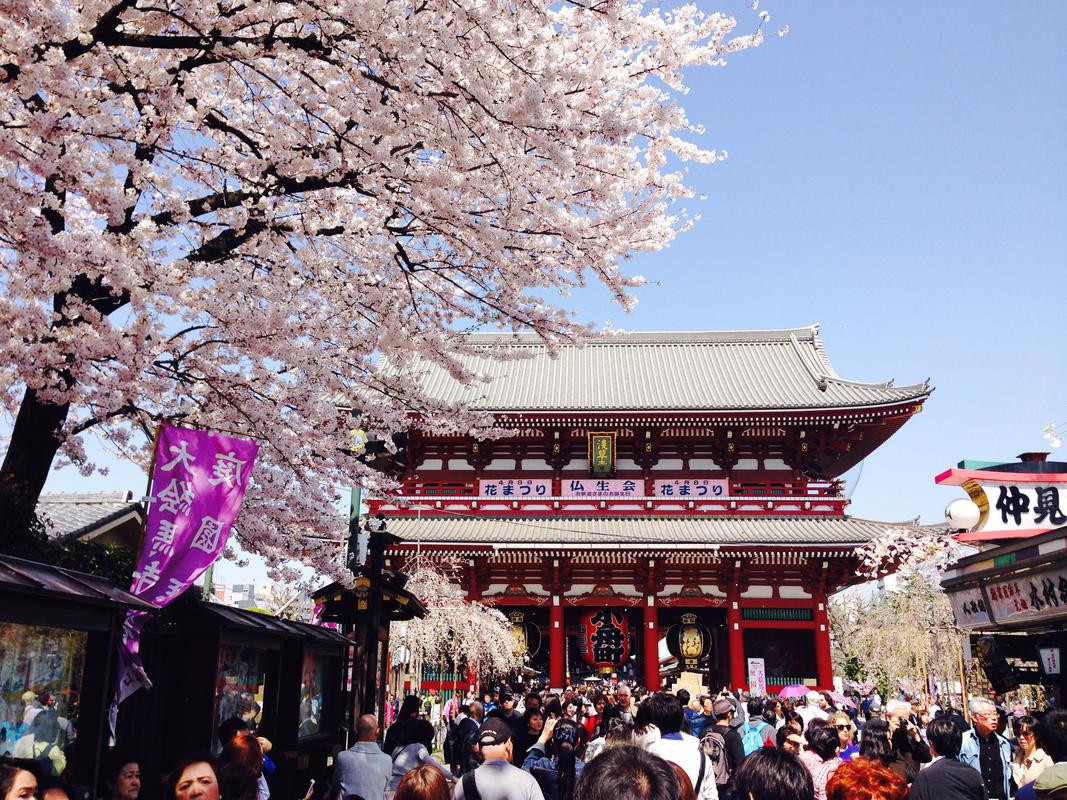 日本旅游待多久时间-日本旅游待多久时间最好