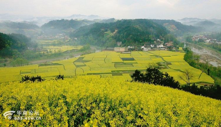 洋县旅游报名时间多久-洋县全域旅游