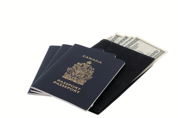 加拿大旅游签证需要多久-加拿大旅游签证多久有效期