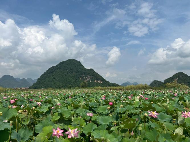 普者黑旅游时间多久-普者黑旅游需要几天