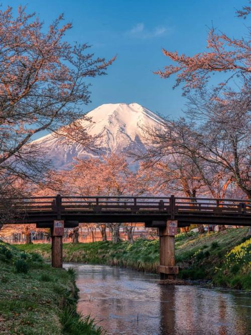 日本旅游能呆多久-日本旅游能去多久