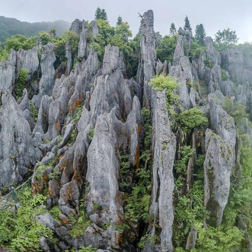 华蓥山风景区旅游时长多久-华蓥山旅游区在哪里