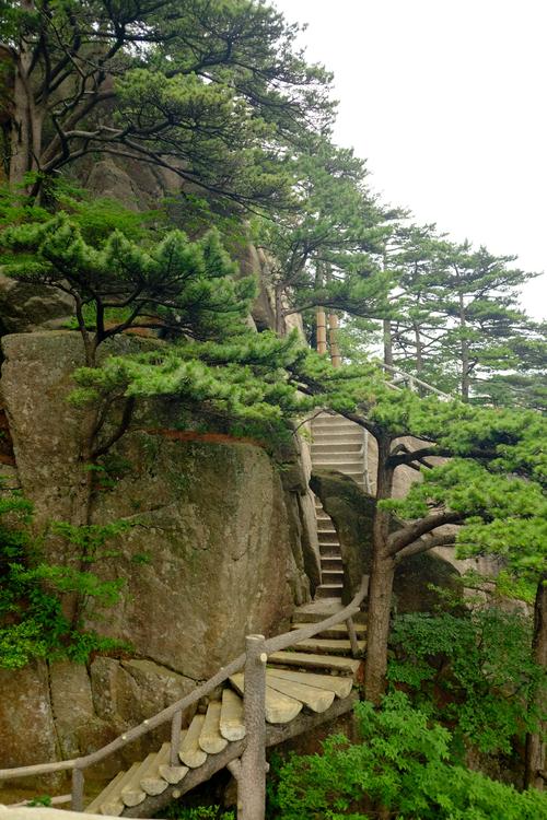 黄山旅游多久合适-黄山游玩几天合适