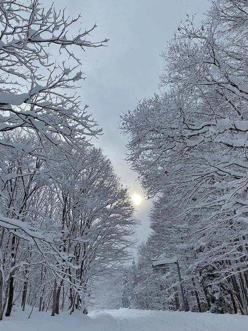 日本旅游大雪时间多久-日本看雪景什么时间合适