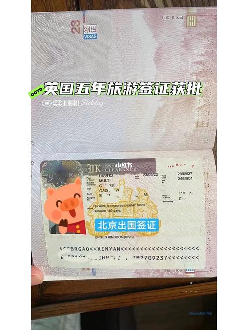 签证后多久能进国内旅游-签证后多久可以出国