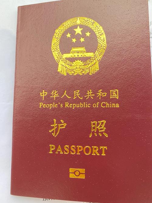 多久可以办旅游护照和签证-出国旅游办护照多长时间可以办好