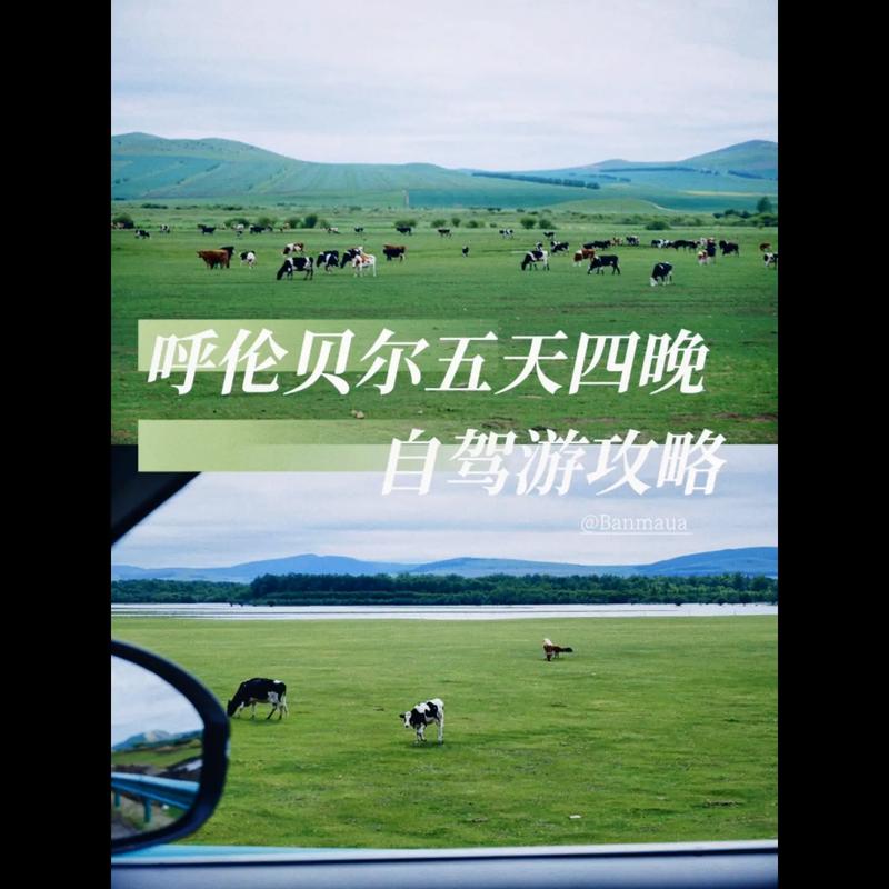 呼伦贝尔旅游多久-呼伦贝尔5天4晚的旅游