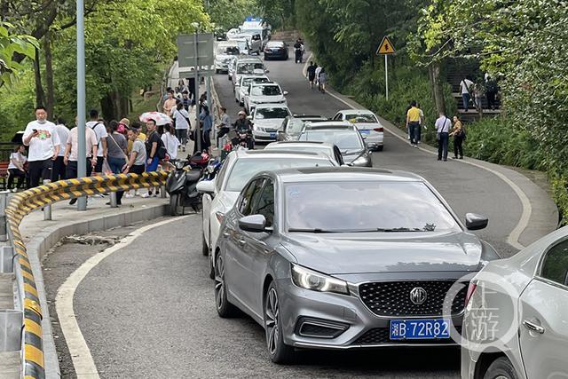 旅游堵车堵多久算违章-旅游景点堵车