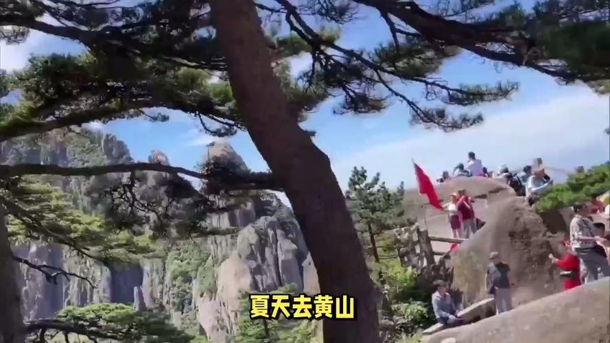 黄山旅游官网多久开放旅游-黄山旅游官网多久开放旅游景点