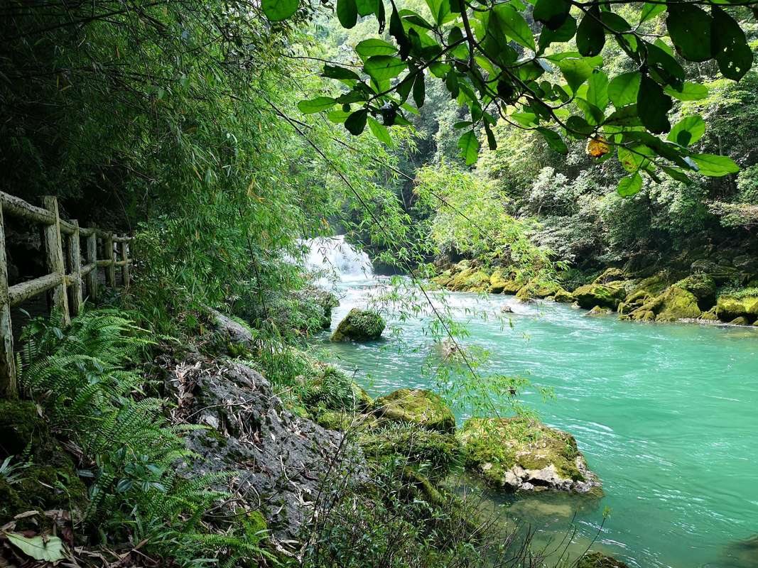 茂兰旅游玩多久-茂兰景区玩多久