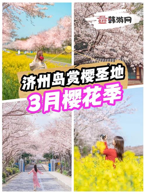 樱花岛旅游需要多久完成-樱花岛旅游需要多久完成的