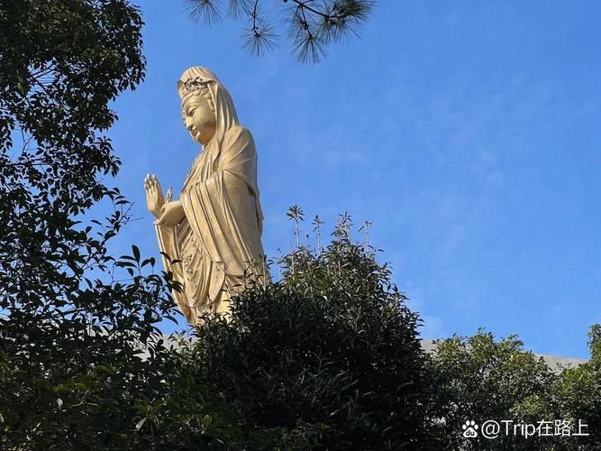 舟山普陀山旅游时间多久-舟山普陀山景区开放了吗