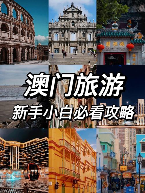 澳门旅游多久可以入境-澳门自由行多久可以去一次