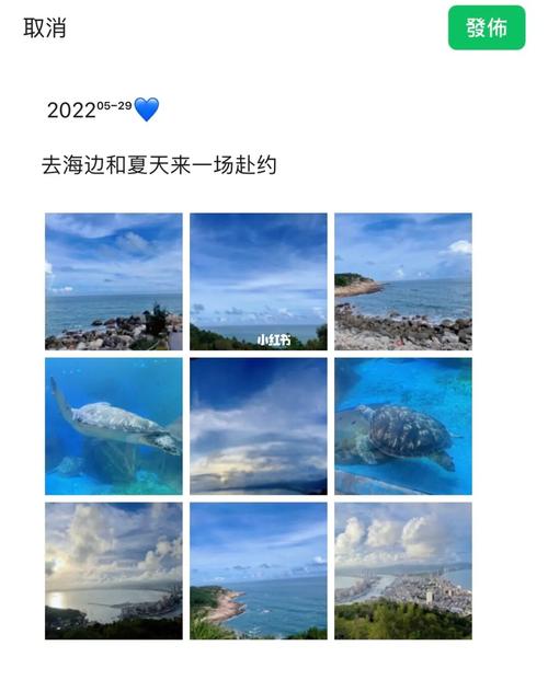 多久没去海边旅游了-好久没去海边了,要一起吗