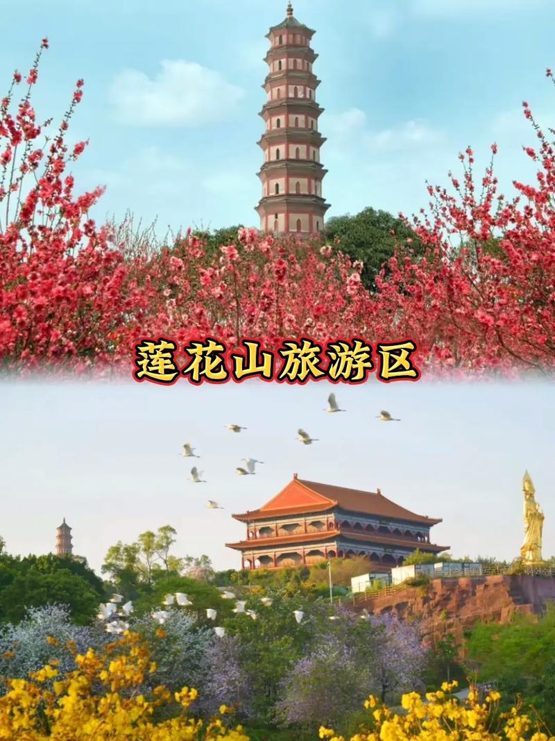 惠州莲花山旅游要多久-惠州莲花山旅游要多久核酸